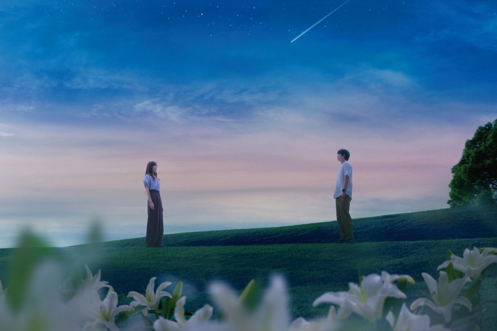 『あの星が降る丘で、君とまた出会いたい。』「百合の涙拭う特製タオル」を3名様に!